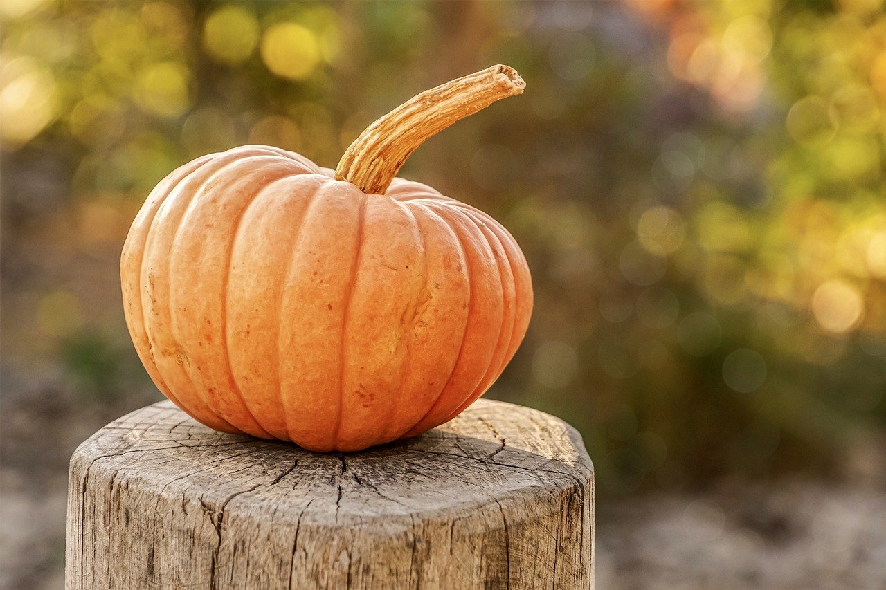 pumpkin-4454745_1280